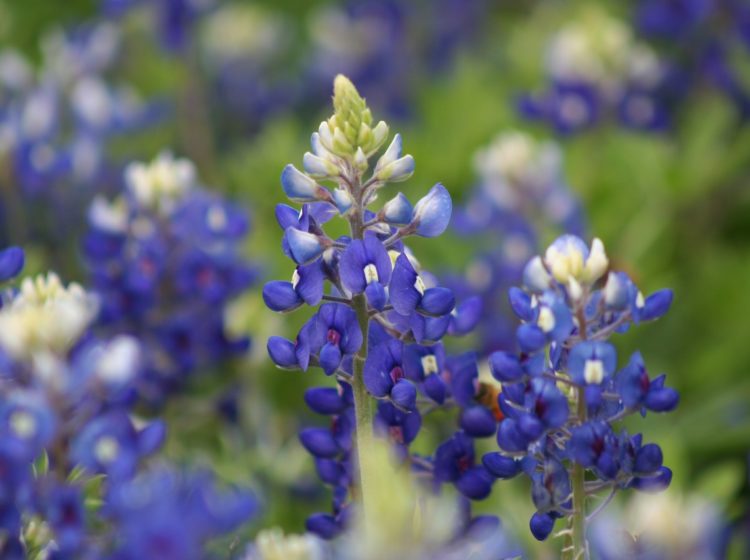 small business link roundup