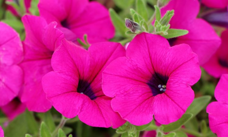 small business link roundup for june 2019