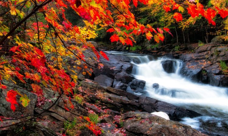 September link roundup for small business