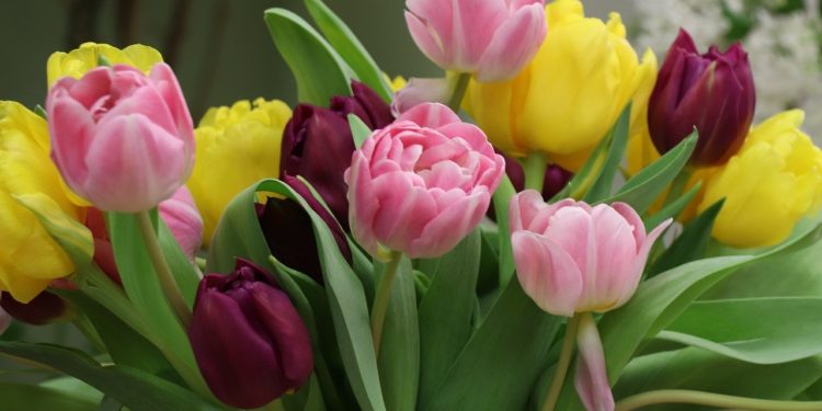 small business roundup march 2020