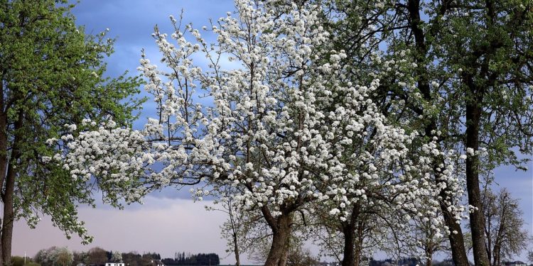 smallbiz-linkroundup-04.30