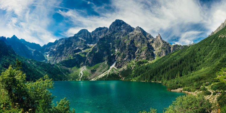 small biz link roundup June