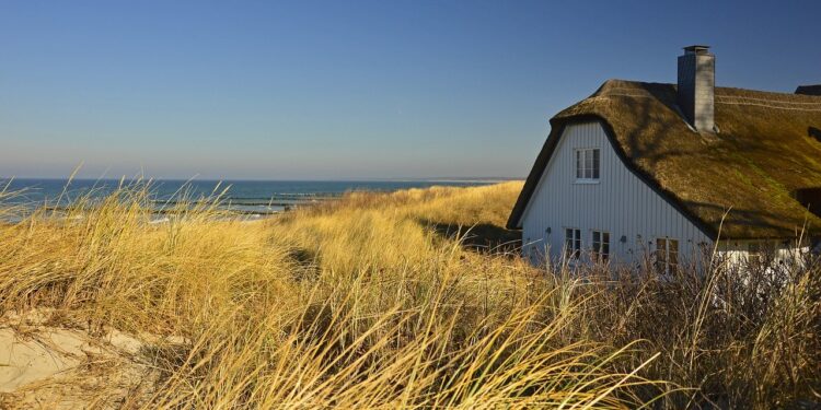 small biz roundup august