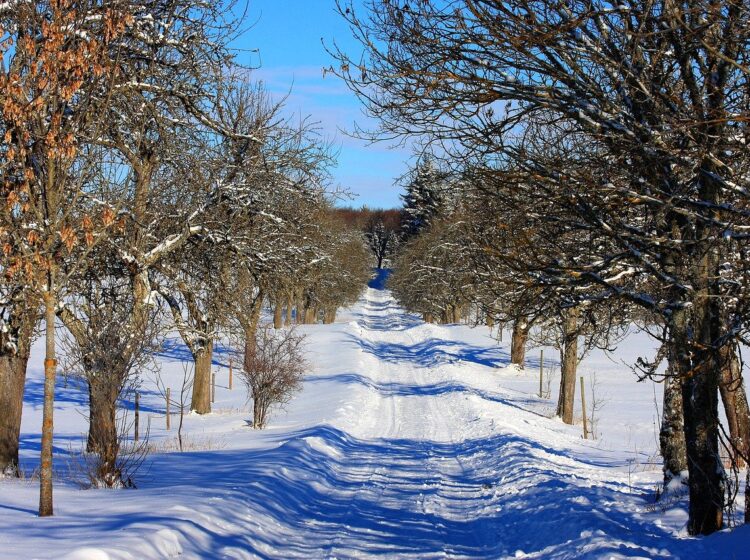 link roundup jan 2021