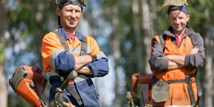 find lawn care workers