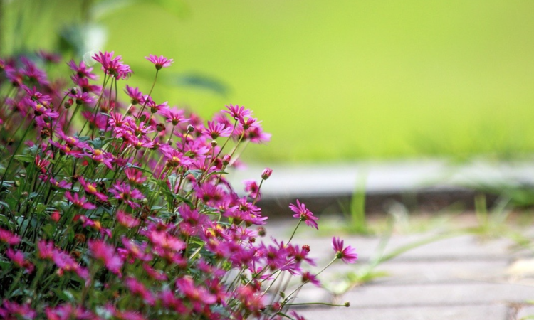 smallbiz-july-roundup