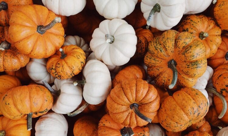 small business roundup in oct 21