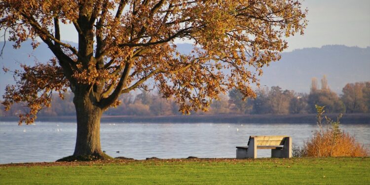 link roundup nov 2021